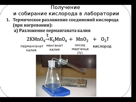 Использование биореактора: альтернативный способ получения кислорода