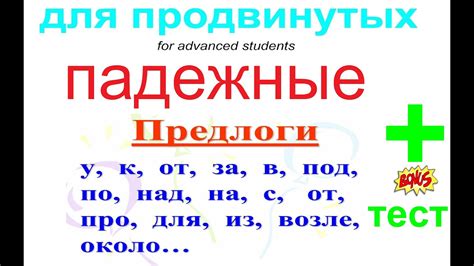 Использование предложного падежа: важный элемент русского языка