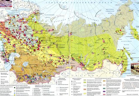 Использование сушилки для кабачков: ускорение процесса с сохранением качества