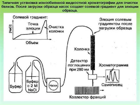 Использование хроматографии для определения состава на столбе