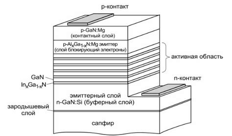 Исследование ветвей