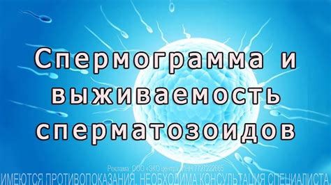 Исследование влияния повышения температуры на подвижность и выживаемость сперматозоидов