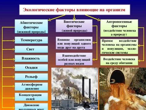 Исследование воздействия окружающей среды на характеристики мясной продукции