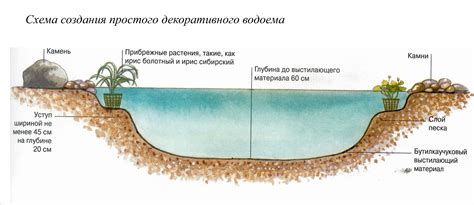 Исследование глубины и структуры водоема