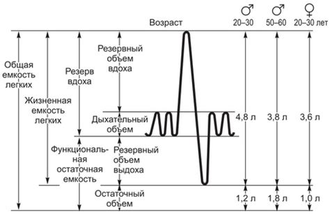 Исследование звуков дыхания: пути достижения точности и эффективности