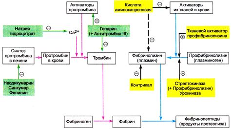 Исследования о воздействии гречки на систему свертывания крови: мнение экспертов