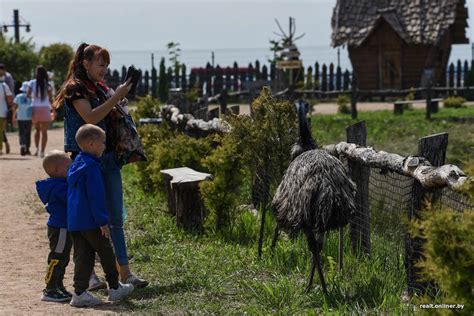 Исследовательские проекты в парке "Диприз"