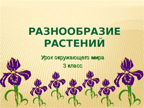 Исследуйте разнообразие окружающего мира в поисках ключей к преградам