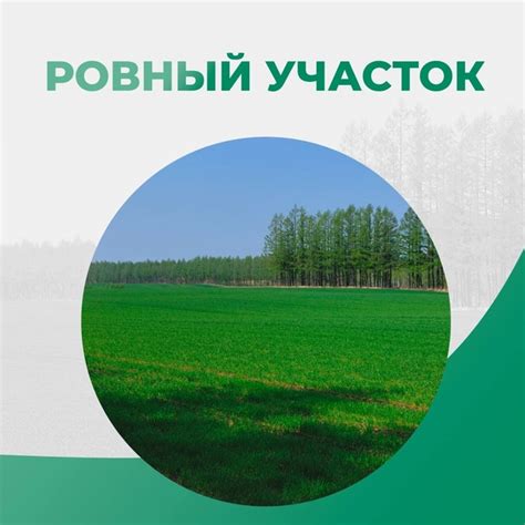 Исследуйте рельеф участка: выбор оптимальной локации