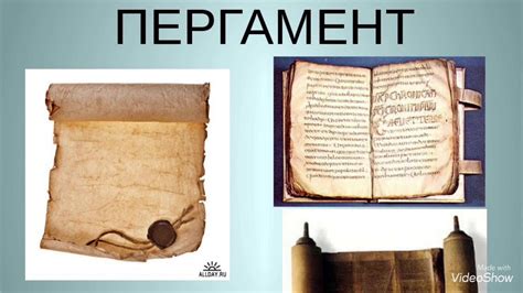 Истоки, развитие и значение джерси в мире: путь от древности до наших дней