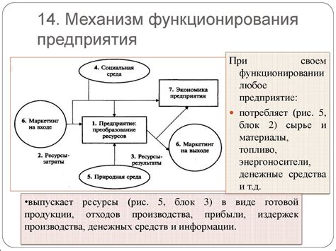 Истоки и механизм функционирования печати фрейи