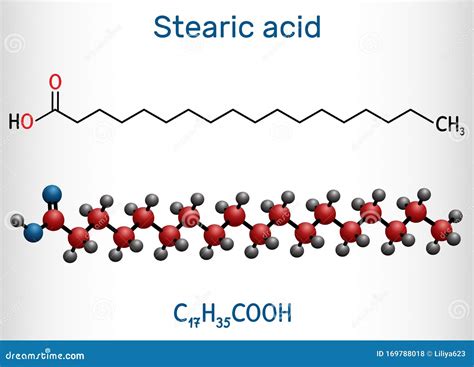 Истоки и характеристики стеариновой кислоты
