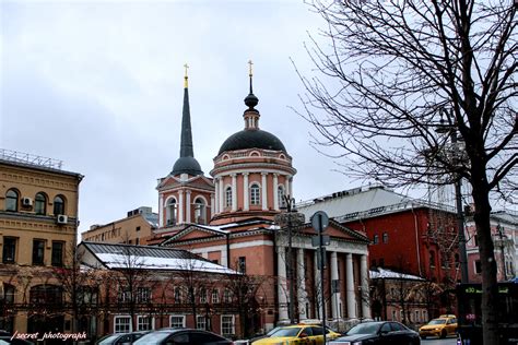 История возникновения традиции музицирования под вязом