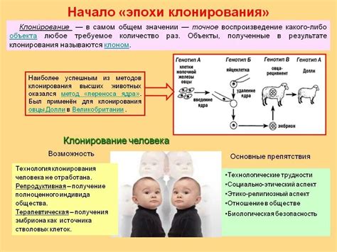 История клонирования в России: пути открытий и революционных достижений