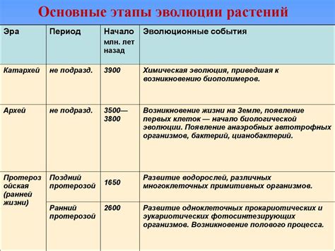 История котов: вековые этапы и признаки эры