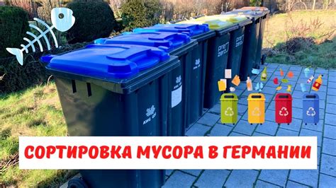 История организованного вывоза мусора