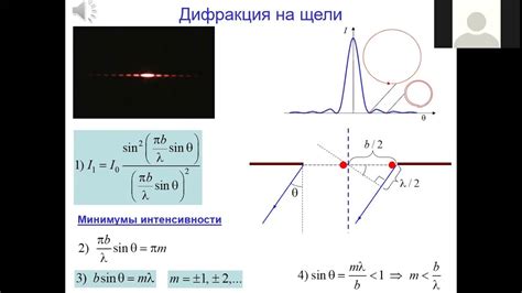 История поиска хвостика животного и значение щели в отверстии