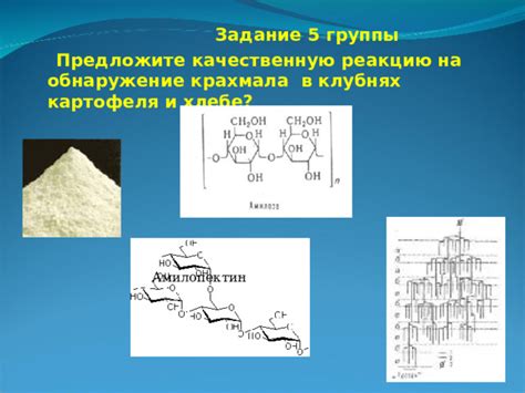 История применения крахмала в темном хлебе: историческое измерение процесса