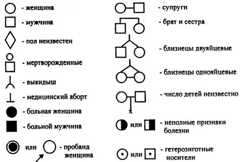 Источники, которые стоит рассмотреть при оформлении родословной для щенячка