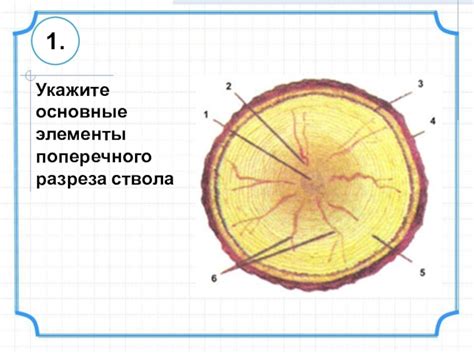 Источники и творцы, вдохновляющие на создание изящных изделий из древесных волокон