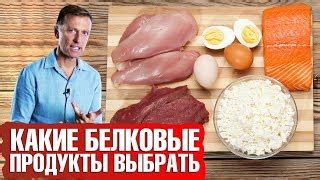 Источник питательного белка для улучшения насыщения