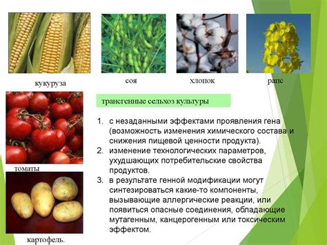 Источник полезных веществ и биологически активных соединений