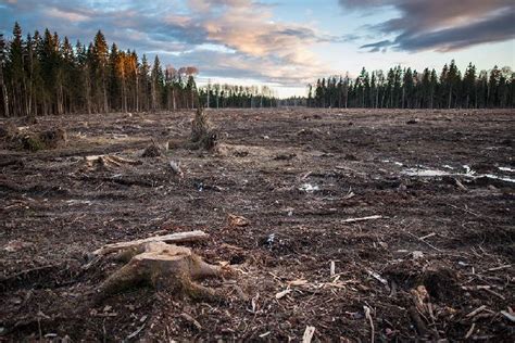 Истощение природных ресурсов и экологический кризис