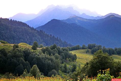 Кавказские горы: величественные вершины и зеленые долины