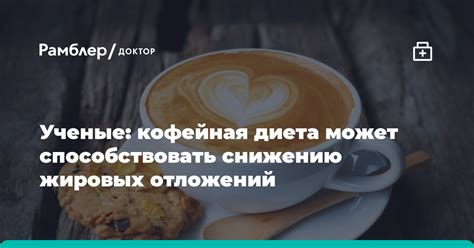 Какие компоненты способствуют снижению жировых отложений и как они взаимодействуют?