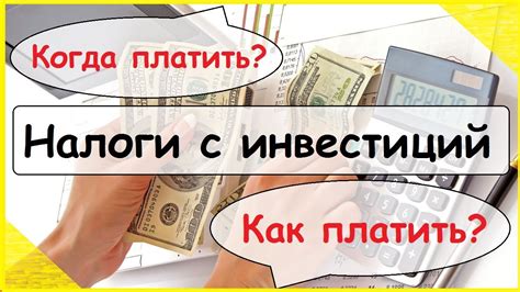 Какие налоги можно освободиться от уплаты в регионах РФ с налоговыми каникулами?