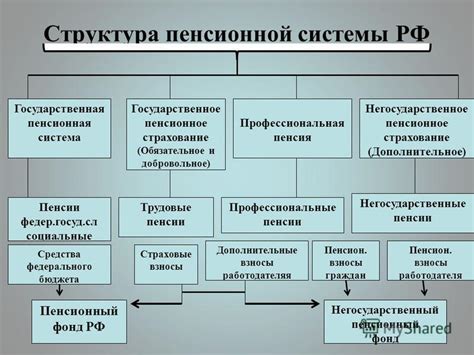 Какие сведения доступны в Системе Транспарентности Данных Пенсионного Фонда Российской Федерации?