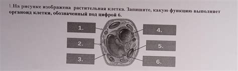 Какую функцию выполняет геотекстиль?