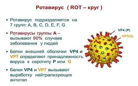 Как возникает повторное заражение ротавирусной инфекцией