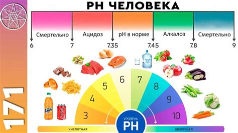 Как восстановить баланс калорий в организме