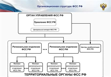 Как добыть код организации от Фонда социального страхования: подробный план действий