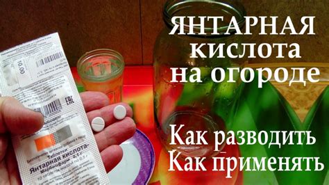 Как достичь желаемых результатов с использованием янтарной кислоты