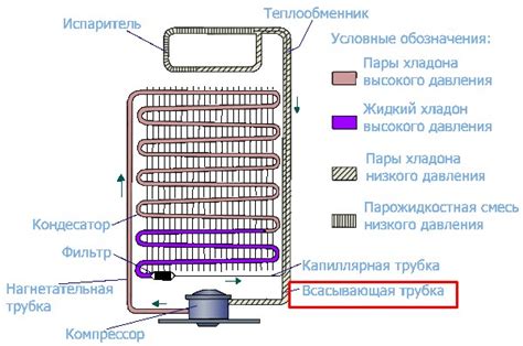 Как избежать утечки хладагента и правильно обслуживать холодильник?