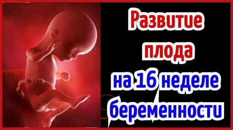 Как облегчить состояние на 16 неделе беременности