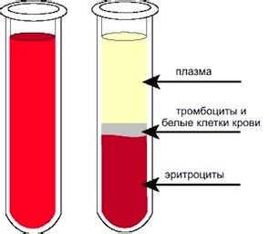 Как определить, что образовался сгусток в пробирке с препаратом для препятствия свертыванию крови