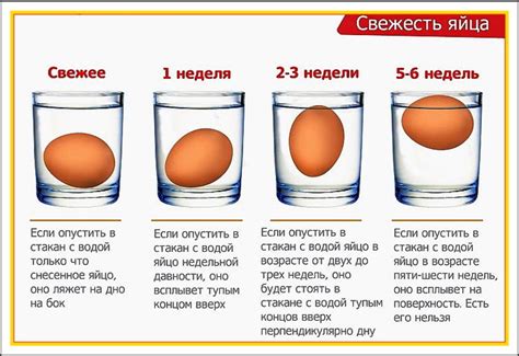 Как определить свежесть яйца?