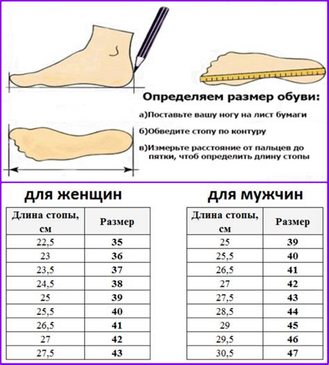 Как определить свой тип стопы и выбрать правильный размер обуви