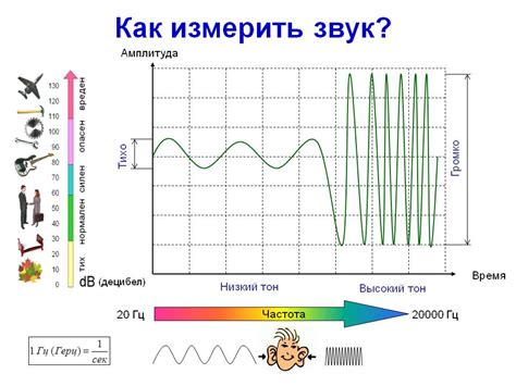 Как оценить звуковые характеристики инструмента