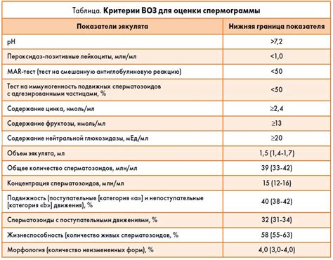 Как подготовиться к диагностике мужского бесплодия: советы и рекомендации