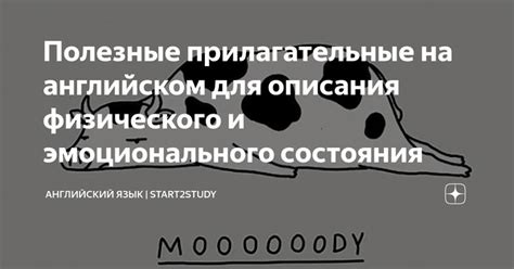 Как подобрать соответствующие прилагательные для описания эмоционального состояния