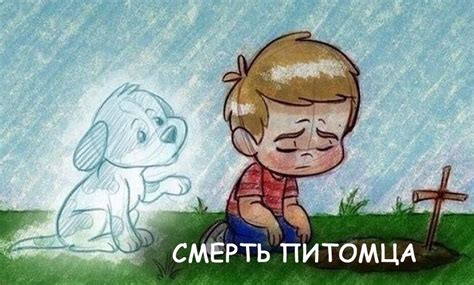 Как помочь водителю, если питомец вызывает беспокойство