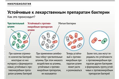 Как поступать, если обнаружена устойчивость к лекарствам
