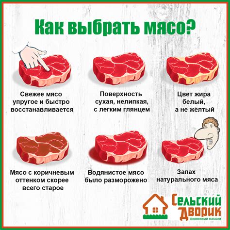 Как правильно интродуцировать мясо в рацион ребенка?