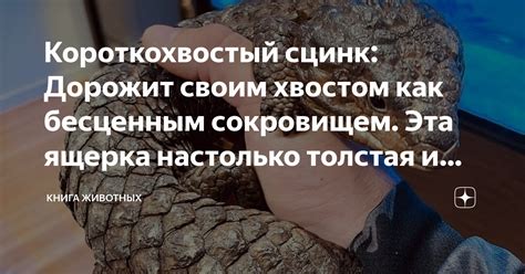 Как привлечь Чешуйчатого Хищника и эффективно охотиться на него