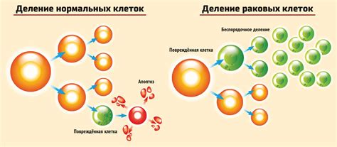 Как происходит взаимодействие мышьяка с клетками организма