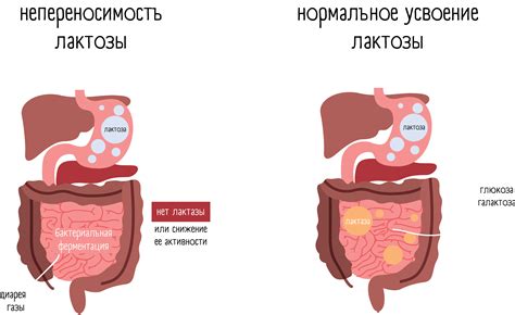 Как проявляется гипоксия и как ее диагностировать